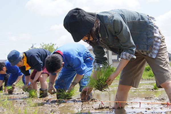 豊川田プロジェクトの様子