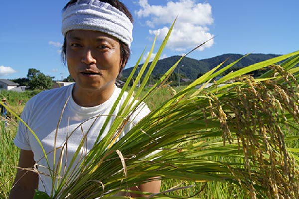 豊川田プロジェクトの様子