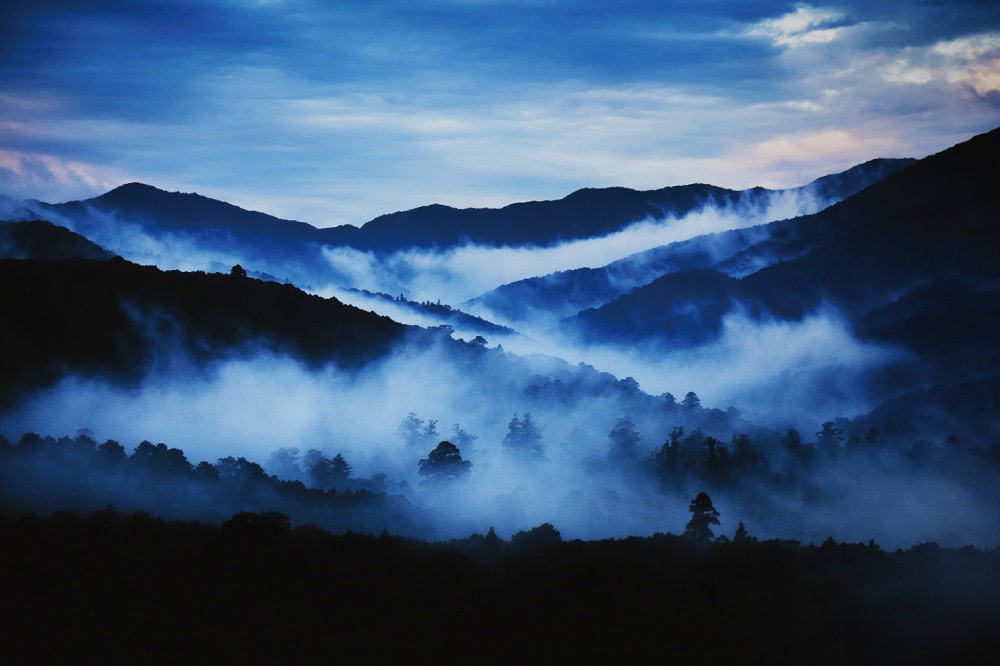 日本人のこころ〜神宮の森〜