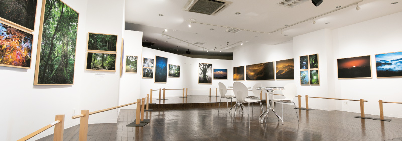 外宮参道ギャラリー